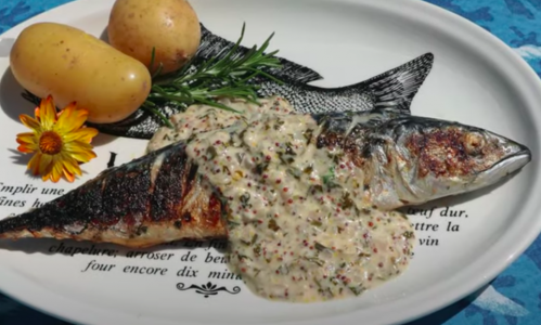 Recette de maquereaux à la plancha, fumés au romarin, sauce au muscadet et à la moutarde