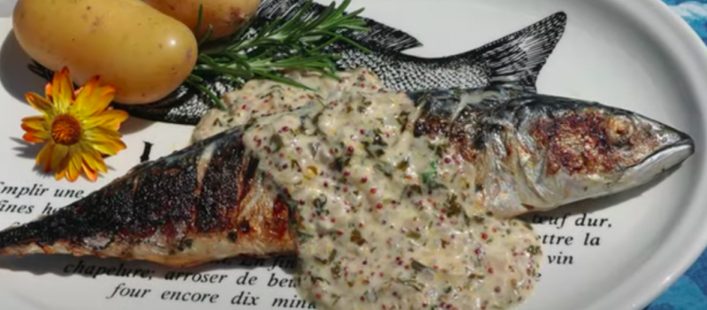 Recette de maquereaux à la plancha, fumés au romarin, sauce au muscadet et à la moutarde